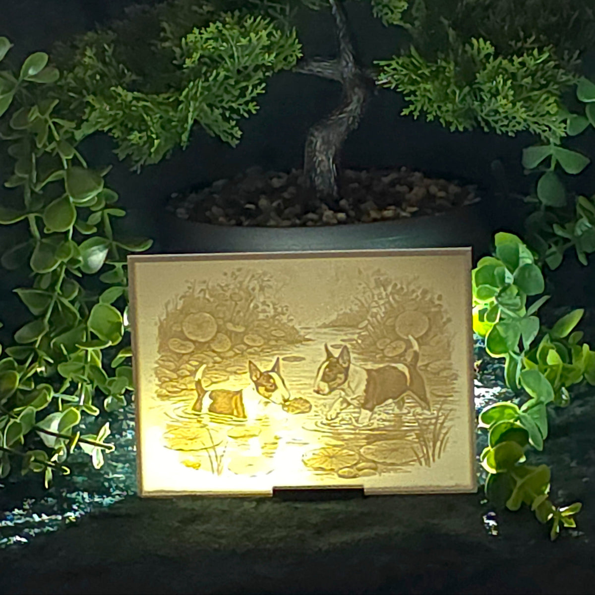 A rectangular backlit plaque featuring a 3D printed scene of Bull Terriers by a stream, glowing warmly in the dark. A potted bonsai tree is positioned behind it, with green trailing plants framing the scene.