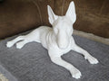 Example unpainted English Bull Terrier 3D pet model