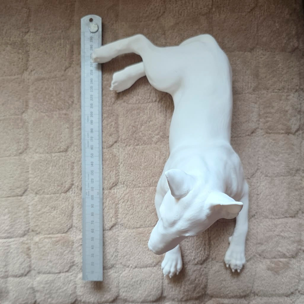 Example unpainted English Bull Terrier 3D pet model photographed beside a ruler for scale
