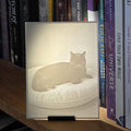 A square 3D printed plaque on a black stand, featuring a sepia-toned illustration of a cat lying on a cushion, displayed on a wooden bookshelf in front of books.