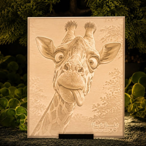 Illuminated giraffe lithophane panel on a display stand